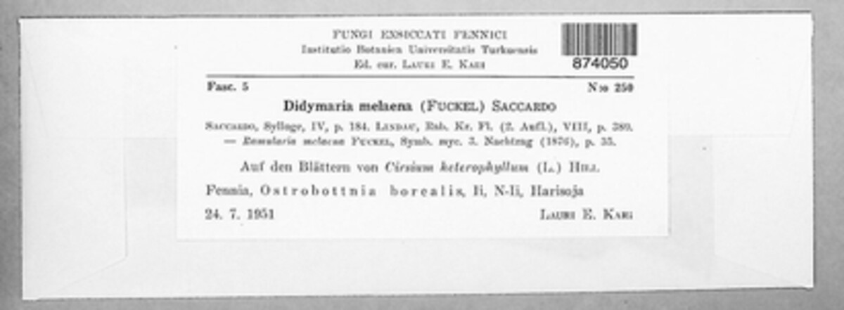 Fusicladiella melaena image